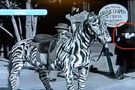 10 bức hình quái quỷ nhất hành tinh, lần nào xem cũng ám ảnh 