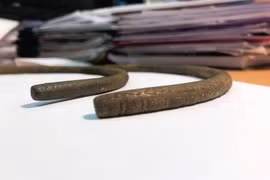 Vô tình nhặt được vòng cổ vỡ đôi, ai ngờ là báu vật vô song