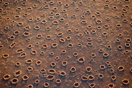 Bí ẩn những mảnh trống hình tròn ở sa mạc Namibia