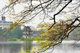 Địa danh nào của Việt Nam được quốc tế khen “nức nở” năm 2020?