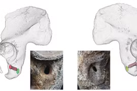 Quét 3D hài cốt chiến binh Celtic 2.500 tuổi, lộ bí mật động Trời