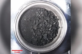 Mẫu vật tiểu hành tinh Ryugu chi chít vi khuẩn đến từ... Trái Đất