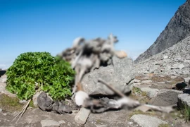 Giải mã sự thật hãi hùng về “hồ xương người” ở Ấn Độ