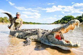 Tại sao 12.000 cá sấu sông Nile sinh sống trong hồ giữa sa mạc?