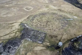 Phát hiện xác ngựa trong khu mộ 2.800 tuổi