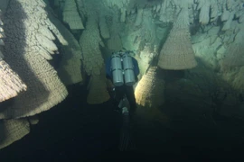 Thám hiểm thạch nhũ mang hình “chuông tử thần” ở Mexico