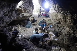 Mở 5 ngôi mộ cổ, chuyên gia sững sờ tìm thấy loài người mới 