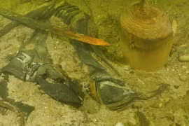 Khó tin tìm thấy hài cốt chiến binh thời Trung cổ dưới hồ nước