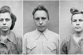 Số phận những “nữ đồ tể” của trùm phát xít Hitler sau năm 1945