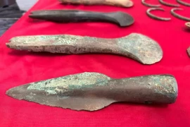 Dùng máy dò kim loại, bất ngờ phát hiện vũ khí, trang sức 3.600 tuổi