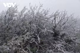 Miền Bắc đang đón đợt rét là 1 trong 6 đợt có nhiệt độ thấp nhất trong 40 năm