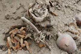 Mộ tập thể 3.000 tuổi ở Peru hé lộ cuộc thảm sát