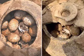 Mở mộ cổ, chuyên gia sống chết không cho chạm tay vào 3 thứ nào? 