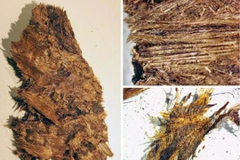 Bật nắp mộ thuyền phát hiện bí mật hài cốt chiến binh thời Đồ sắt