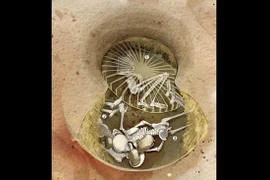 Bằng chứng rùng rợn về nghi lễ hiến tế thời Đồ đá ở châu Âu