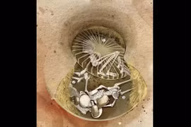 Bằng chứng rùng rợn về nghi lễ hiến tế thời Đồ đá ở châu Âu