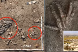 Sự thật 12 bàn tay người 3.500 tuổi tìm thấy ở Ai Cập