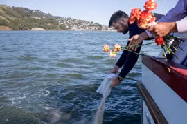 Tro cốt bị bỏ xó ở chùa Kỳ Quang: Nước ngoài làm gì sau hỏa táng?