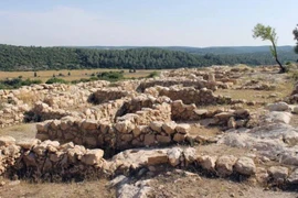 Giật mình bức tượng cổ xưa mang “khuôn mặt của Chúa"