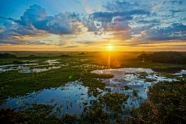 Pantanal là vương quốc của 'quái vật' khổng lồ