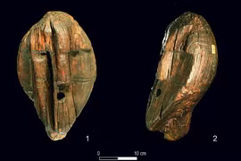 Cận cảnh tượng gỗ lâu đời nhất thế giới gần 12.000 năm tuổi