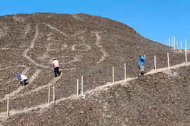 Phát hiện hình mèo khổng lồ 2.000 tuổi ở Peru