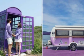 Độc lạ 'hòn đảo màu tím' thu hút du khách của Hàn Quốc