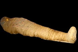 Vi khuẩn trong xác ướp Ai Cập có thể gây ra đại dịch?