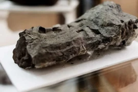 Kết quả bất ngờ khi dùng AI đọc chữ trên giấy cói 2.000 tuổi