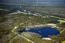 Bí ẩn vùng đầm lầy ở Mỹ bỗng dưng nhấn chìm nhiều cây cối, nhà cửa