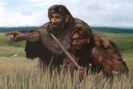 Người Neanderthal tương tác, giao phối với người hiện đại?