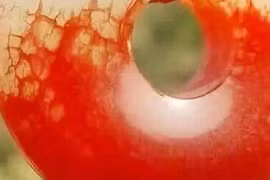 Khai quật mộ cổ, chuyên gia tái mặt vì khối huyết ngọc "ma quái" 