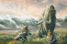 Giật mình lý do voi ma mút biến mất hoàn toàn trên Trái đất