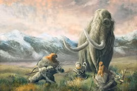 Giật mình lý do voi ma mút biến mất hoàn toàn trên Trái đất