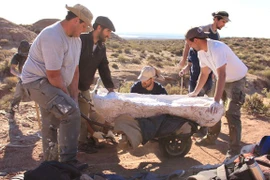 Giật mình siêu quái thú 40 tấn, xương rơi thủng mặt đường 