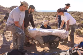 Giật mình siêu quái thú 40 tấn, xương rơi thủng mặt đường 