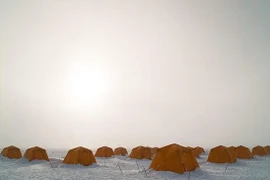 Phát hiện sinh vật ăn đá ở hồ băng Nam Cực, chuyên gia choáng váng