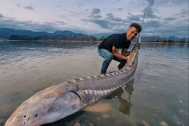 Người đàn ông bắt được “khủng long sống” khổng lồ trên sông Canada