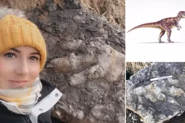 Bí mật thú vị về dấu chân khủng long 175 triệu năm tuổi