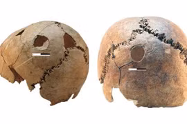 Sự thật rùng rợn phía sau ngôi mộ tập thể hơn 6.000 tuổi