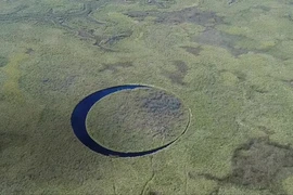 Khám phá chấn động hòn đảo 'con mắt' giữa đầm lầy ở Argentina