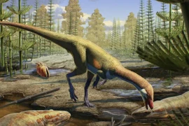 Phát hiện hóa thạch khủng long 230 triệu tuổi, lịch sử phải viết lại