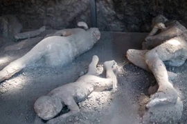 Sự thật rùng mình về những xác chết 'hóa đá' ở Pompeii 