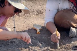 Khai quật ngôi mộ cổ 7.600 tuổi, hé lộ bí mật bất ngờ