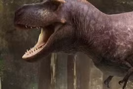 Lý do rùng rợn khiến “tay” của bạo chúa T-rex hầu như biến mất