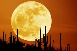 Giải mã 4 hiện tượng thiên văn kỳ thú diễn ra trong tháng 6/2022