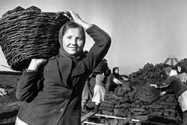 Giải mã dịch bệnh khiến hàng nghìn người chết vì... bánh mì