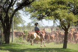 Argentina sở hữu 10 địa điểm được thiên nhiên đặc biệt ưu ái