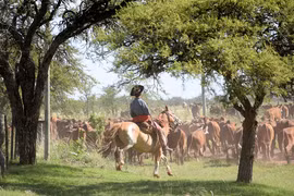 Argentina sở hữu 10 địa điểm được thiên nhiên đặc biệt ưu ái