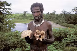 Bộ lạc sống trên cây cao 50m, tách biệt với thế giới